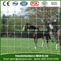 Fixed Knot Deer Fence / Grassland Wire Fencing / Livestock Netting